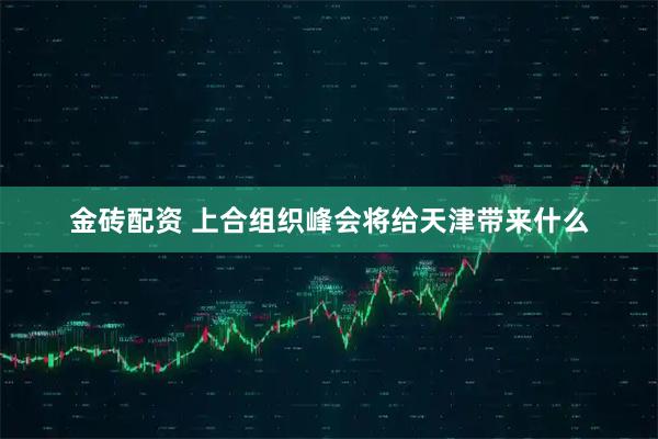 金砖配资 上合组织峰会将给天津带来什么