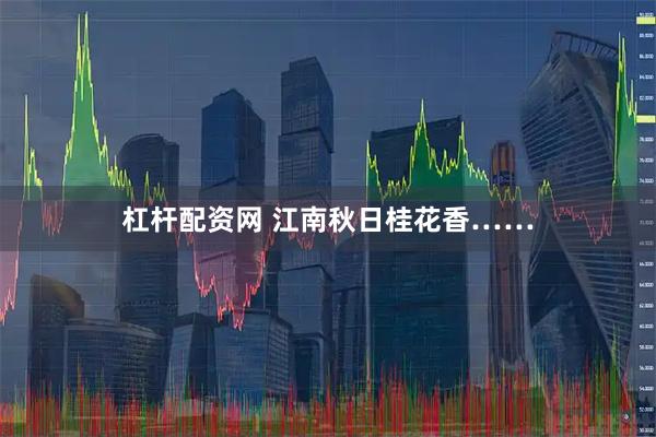 杠杆配资网 江南秋日桂花香……